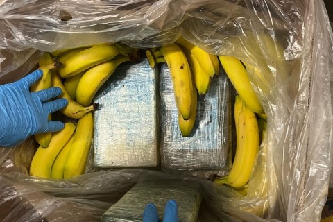 95 Kilo Kokain in Bananenkartons bei Discounter entdeckt