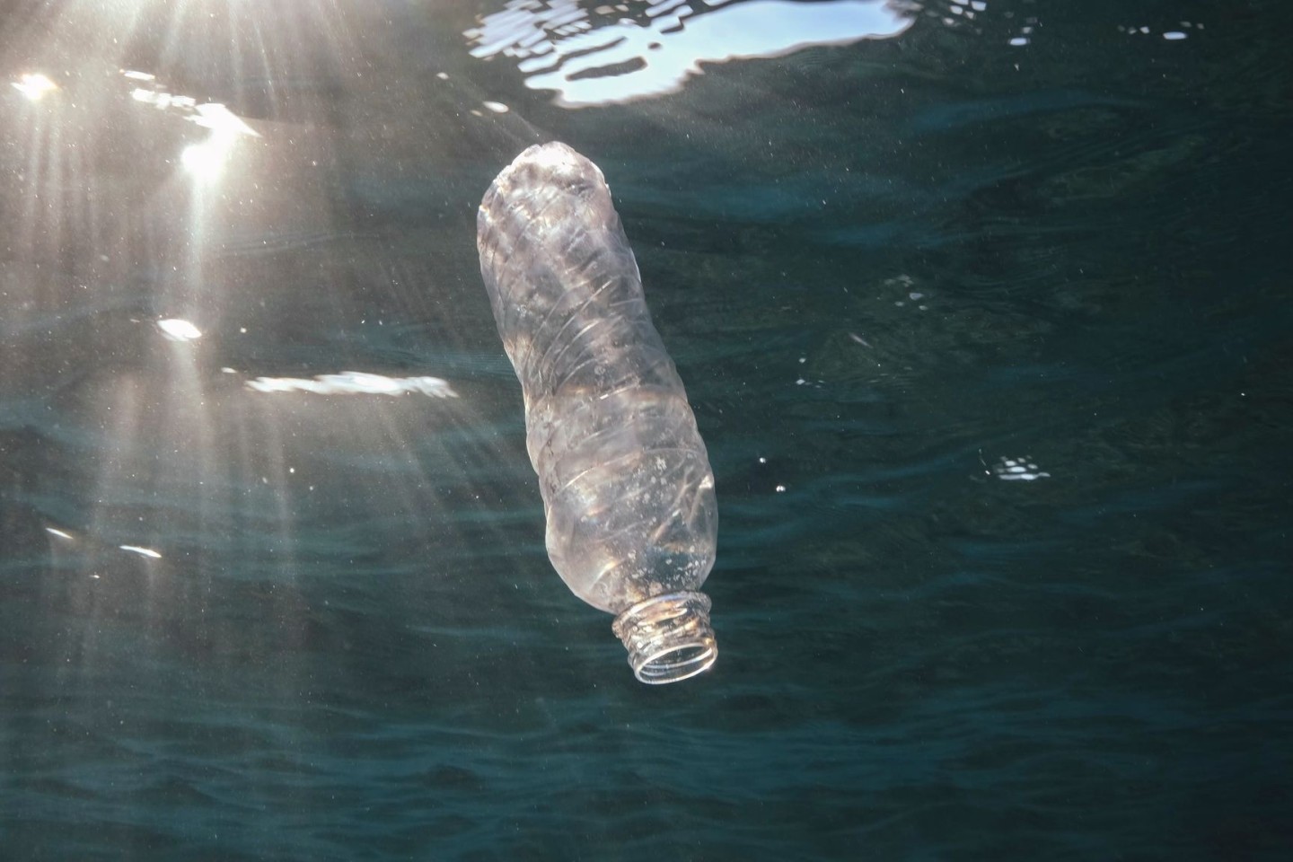 Eine weggeworfene Plastikflasche im Roten Meer vor Ägypten.