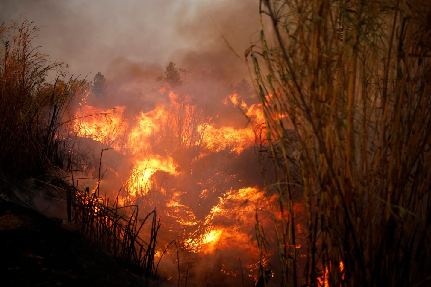 Der größte Waldbrand des Jahres ist gefährlich nah an die Hauptstadt Athen herangerückt.