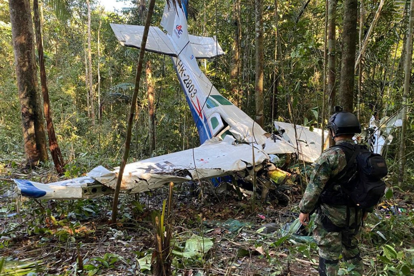 Das Wrack der abgestürzten Cessna C206 im Regenwald im kolumbianischen Bundesstaat Caqueta.