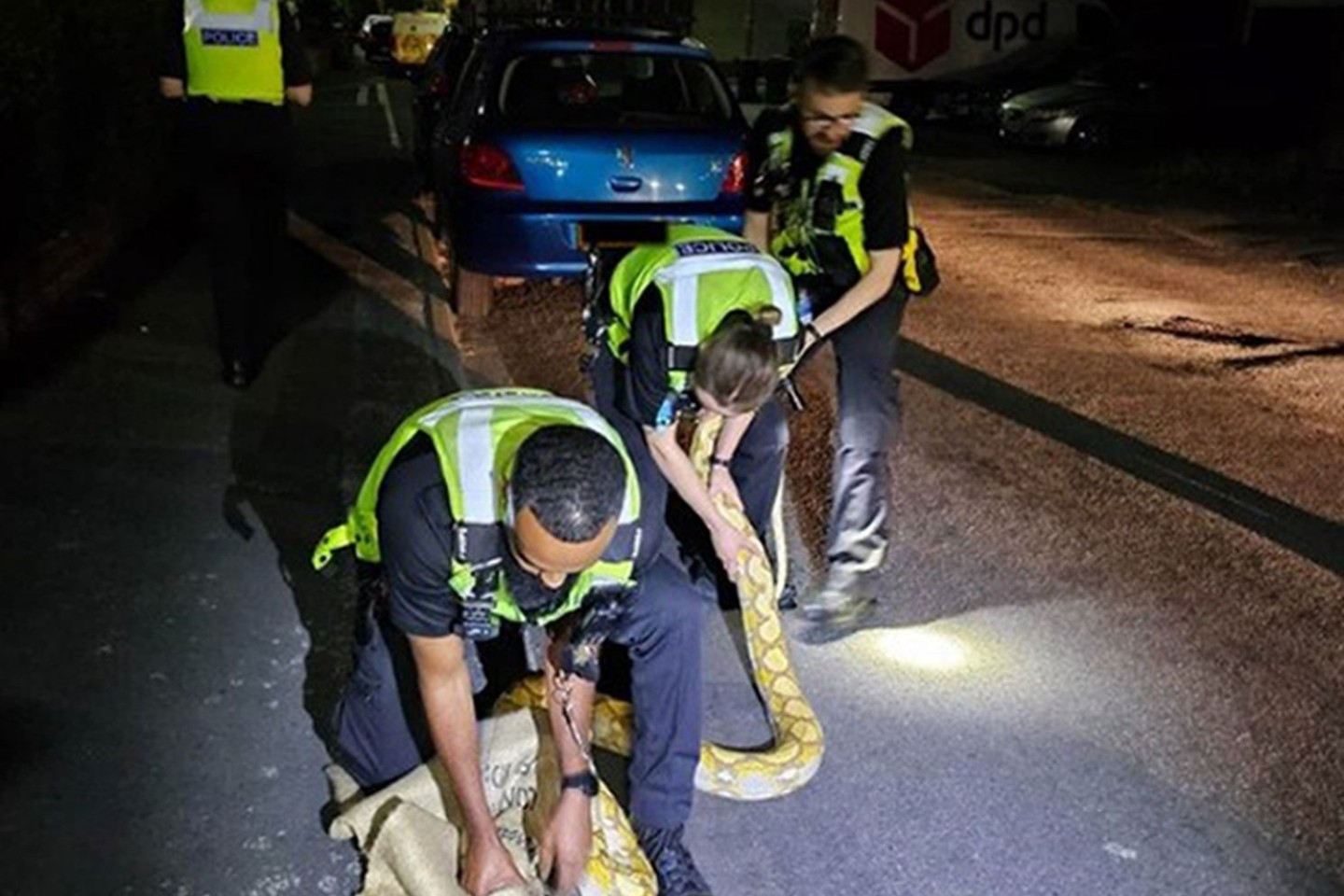 Polizeibeamte fangen den 3,6 Meter langen Python ein.