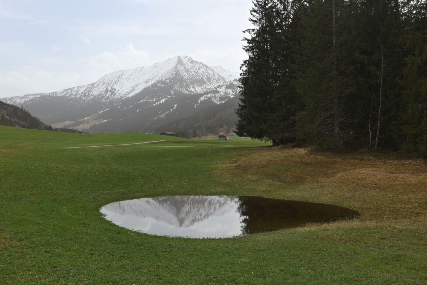 Die im Dunst liegenden Alpen spiegeln sich in einem Weiher. Der Saharastaub-Höhepunkt ist überschritten.