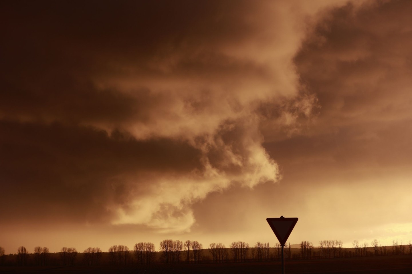 Eine Schlechtwetterfront zieht bei tief stehender Sonne über den Harz hinweg.